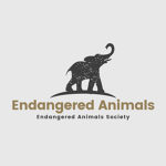 Endangered Animals Support
