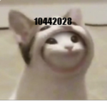 PopCatFansGroup