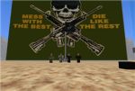 Armed Marine Forces