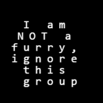 The Furry Foxes