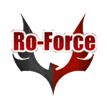 Roblox Fighting Force