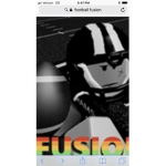 FOOTBALL FUSION GANG (FFL)
