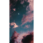 xstaryxn1ghtsx