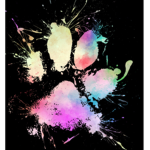 Animal awareness society