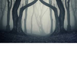 __abyss__