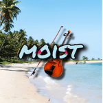 a moist fiddle group