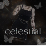 + c e l e s t i a l + b o d i e s +