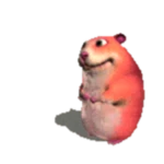 Red Chomik
