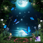 Moon Butterflys