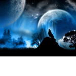 Midnight sky wolf