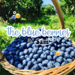 blue bxrries