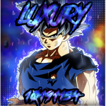 彡Luxury