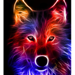 Wolf Pack zzzzz