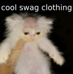 cool swag clothing