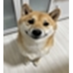shoobberry