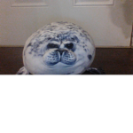 Fattest seal gang