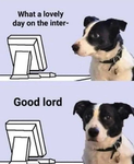 Never Trust Ozzy