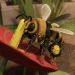 Where Seasons Pass [BETA] icon