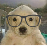 El grupo del admin