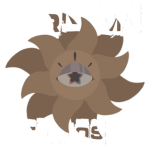 Urnama Studios