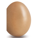 Eggx
