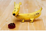 Banana dogs!!!
