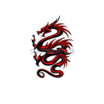 Dragon Indonesia team