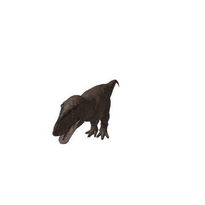 Tyrannosaurus Rex and Human Rig