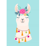 OFFICIAL TEAM LLAMA