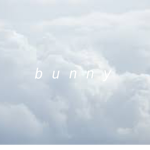 . b u n n y .