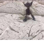 MEINA MURITA