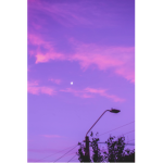 -Daylight Angels-
