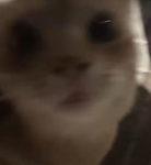 Hello i am from tt