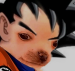J_S_N