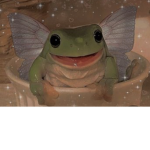 The-froggy-Squad