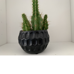 Cactus Clan (Bedwars)