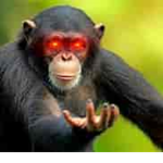 Monke pros'