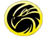 falcon club