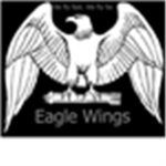 eagle wings divisions