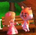 Lucky’s cats
