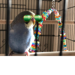 keet404