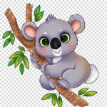 The Cloudy Koalas