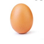 Egg Cult only Eggs