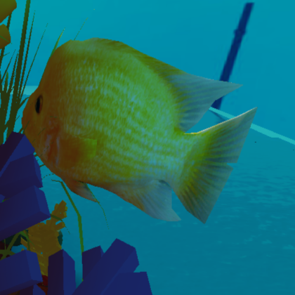 fish for water tank Roblox decal