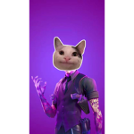 PAPAPIJA