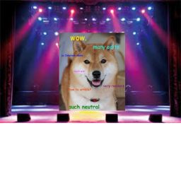 Doges Bork's Concert
