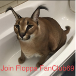 Floppa FanClub69