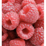 Raspberry Fan Club