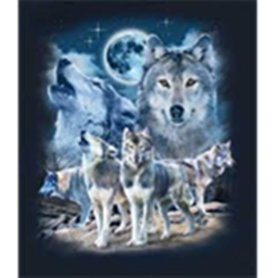 Wolf Role-play