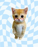Adorable Kitties<3